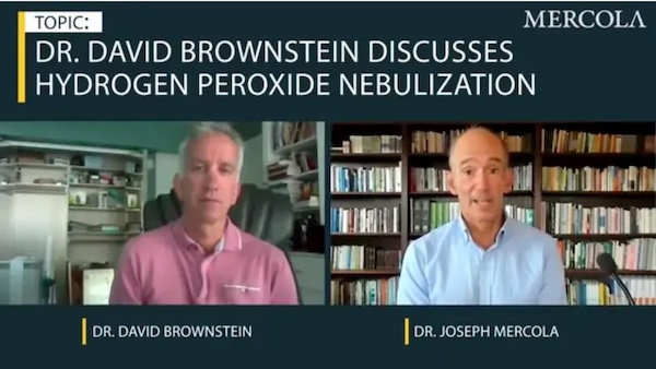 Dr. David Bersteine
                                                Dr. Mercola Covid Cures